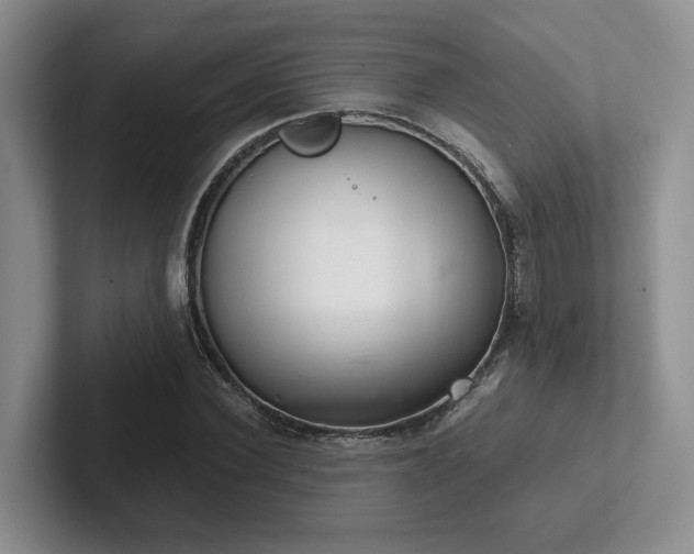 X0000102500924200808081346