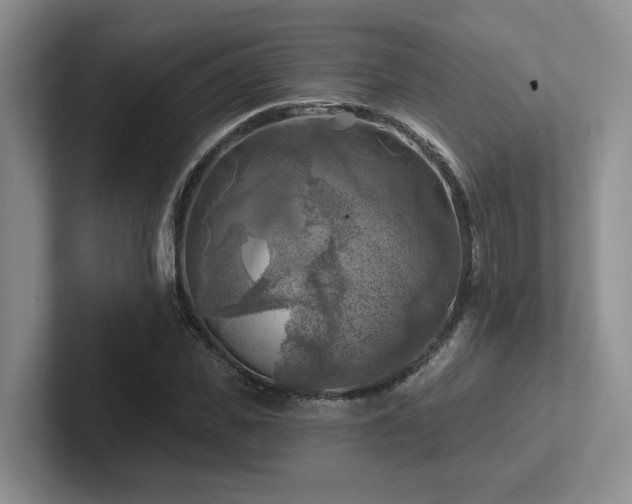 X0000102500925200808081346