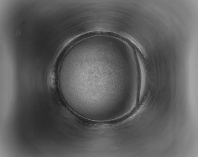 X0000102500926200808081346