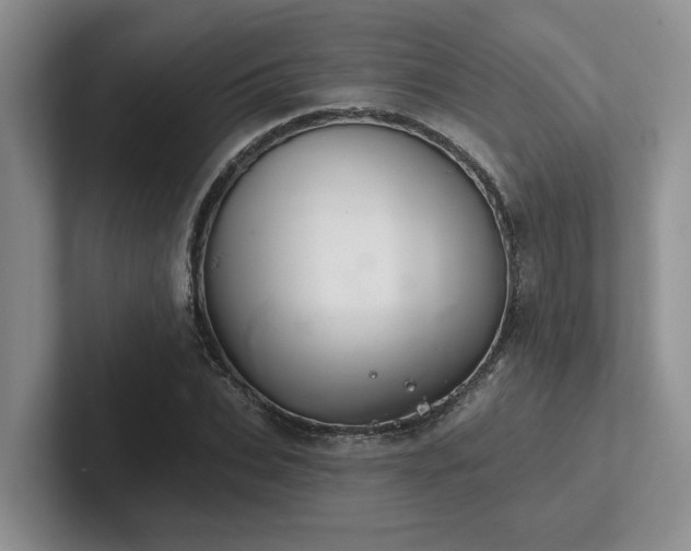 X0000102500927200808081346