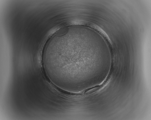 X0000102500930200808081346