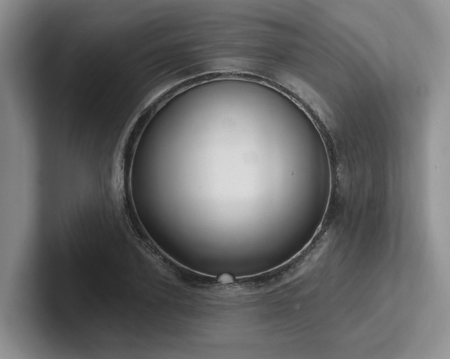 X0000102500931200808081346