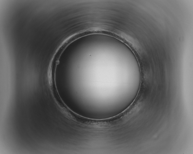 X0000102500934200808081346
