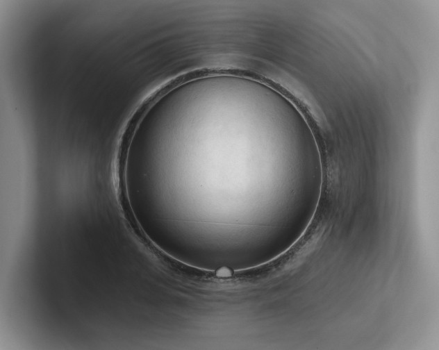 X0000102500935200808081346