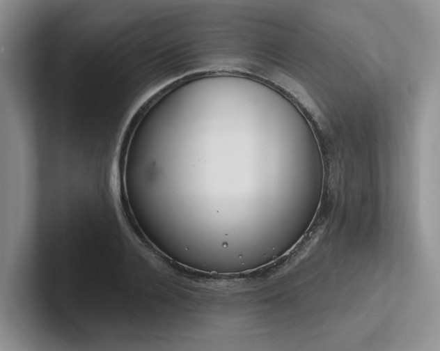 X0000102500936200808081346