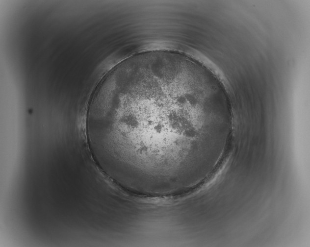 X0000102500937200808081346