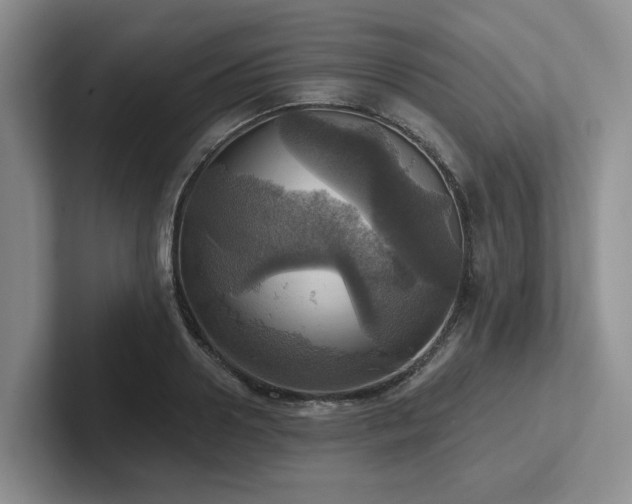 X0000102500938200808081346