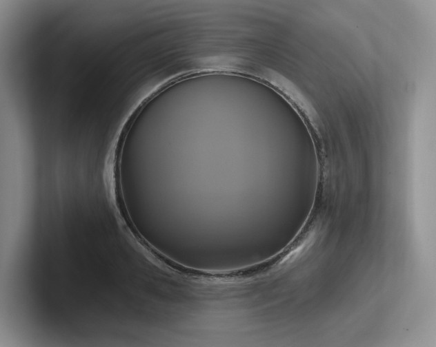 X0000102500941200808081346