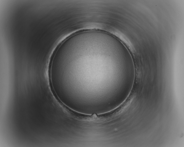 X0000102500943200808081346