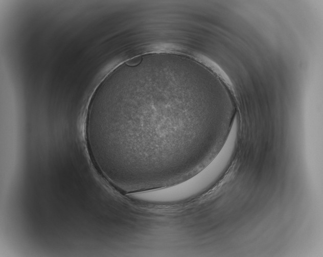 X0000102500946200808081346
