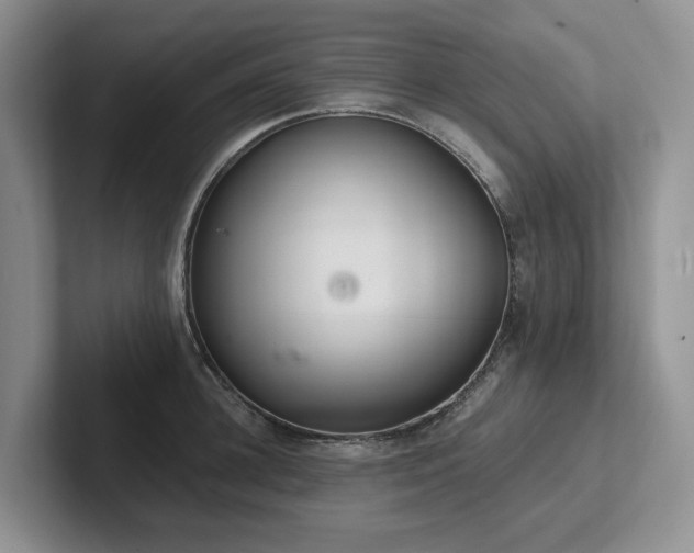 X0000102500948200808081346