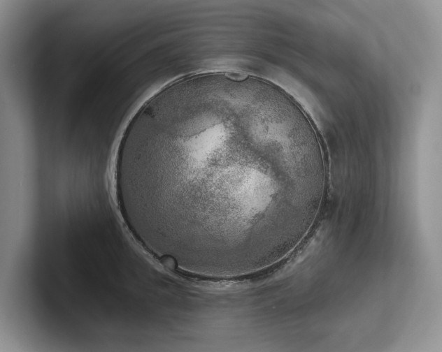 X0000102500949200808081346