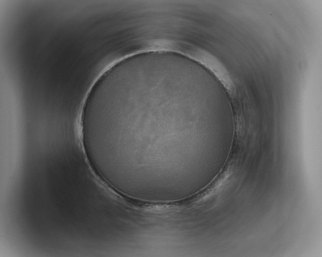 X0000102500950200808081346