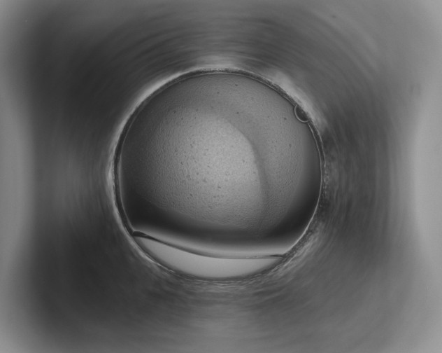 X0000102500951200808081346
