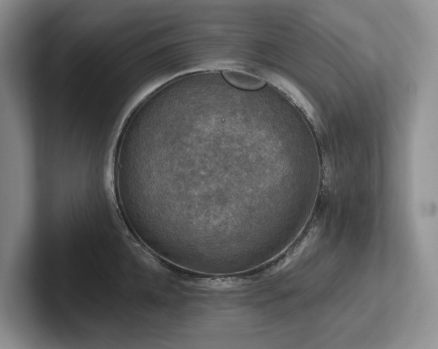 X0000102500952200808081346