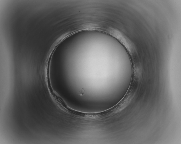 X0000102500954200808081346