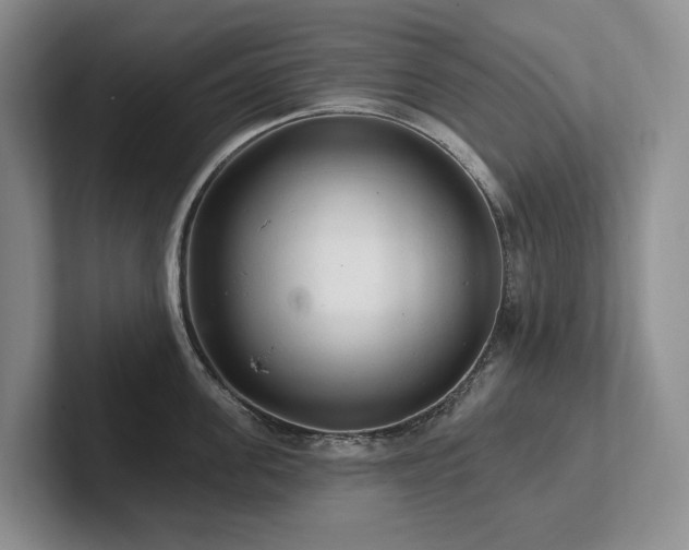X0000102500955200808081346