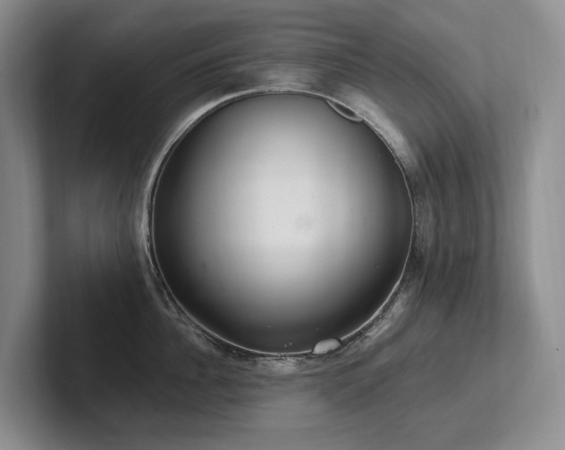 X0000102500956200808081346