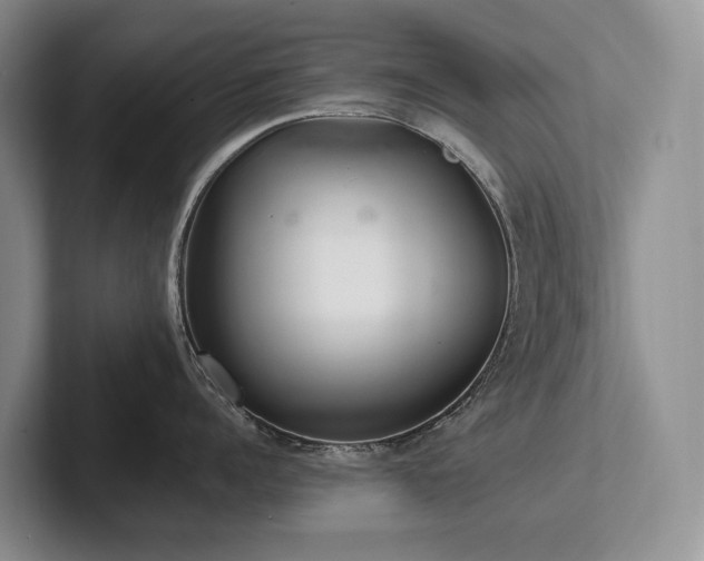 X0000102500960200808081346