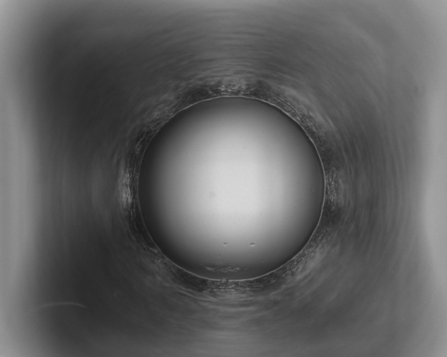 X0000102500962200808081346