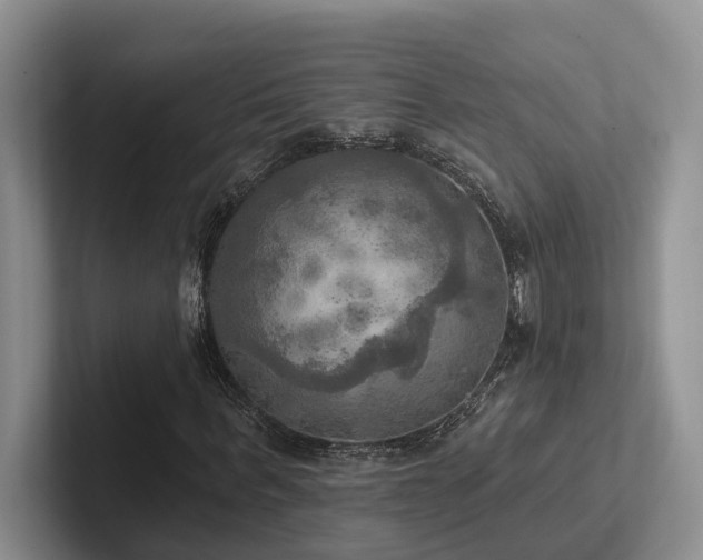 X0000102500963200808081346