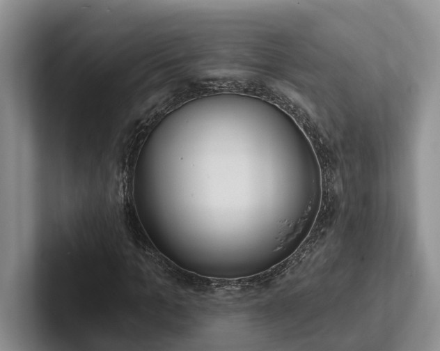 X0000102500965200808081345