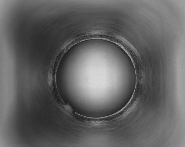 X0000102500969200808081345