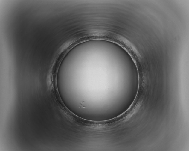 X0000102500970200808081345