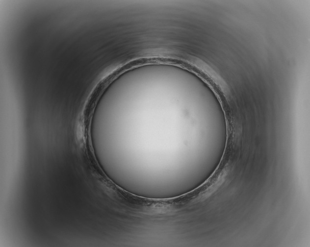 X0000102500974200808081345