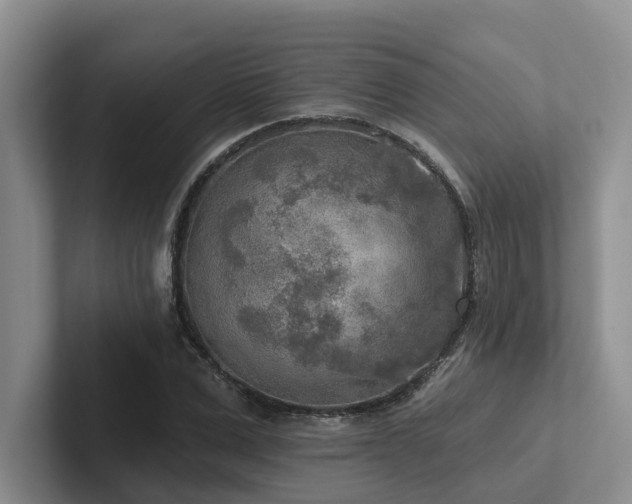 X0000102500975200808081345