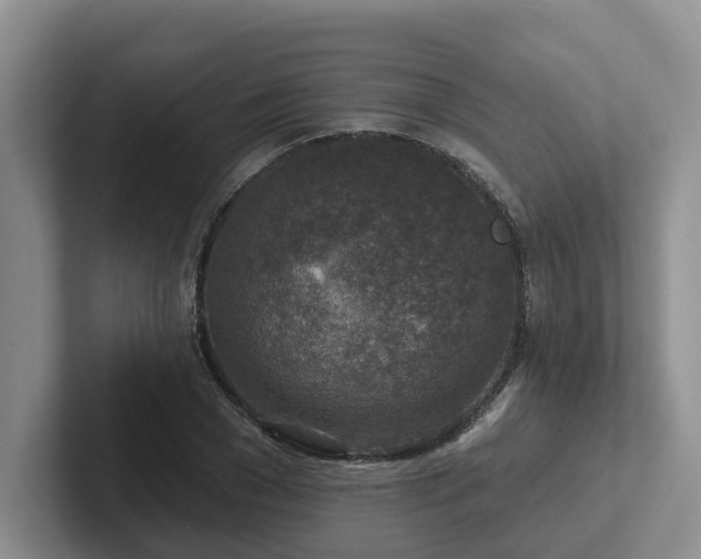 X0000102500977200808081345