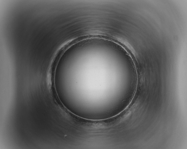 X0000102500979200808081345