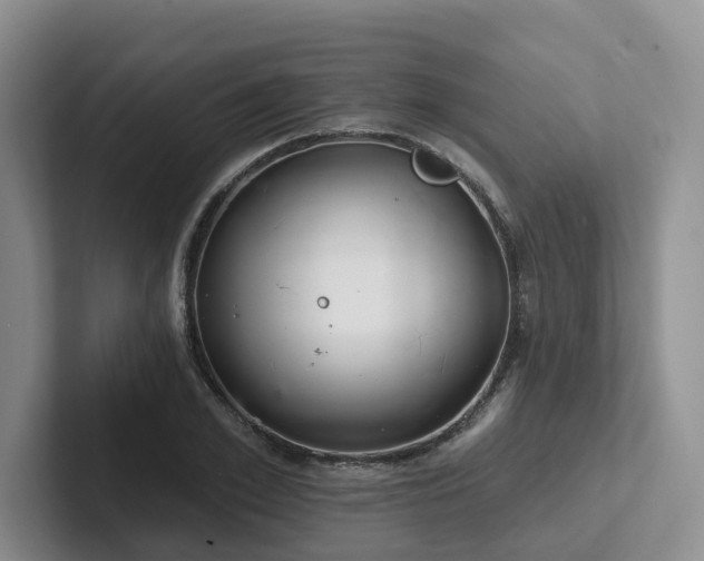 X0000102500981200808081345