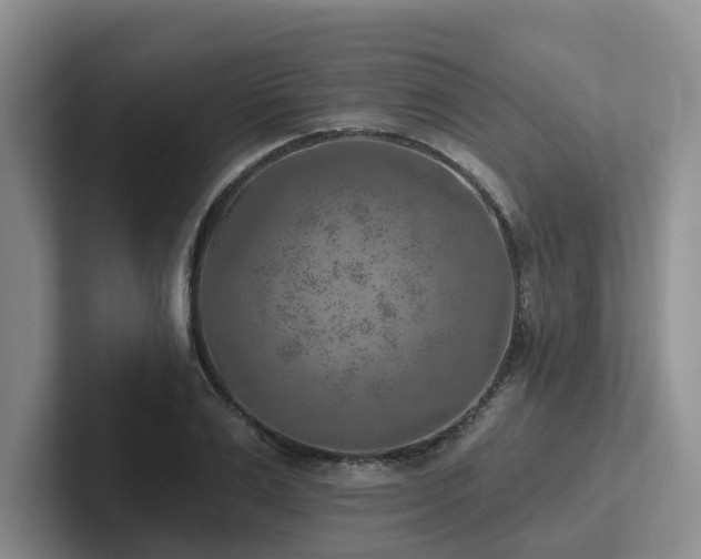 X0000102500983200808081345