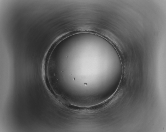 X0000102500984200808081345