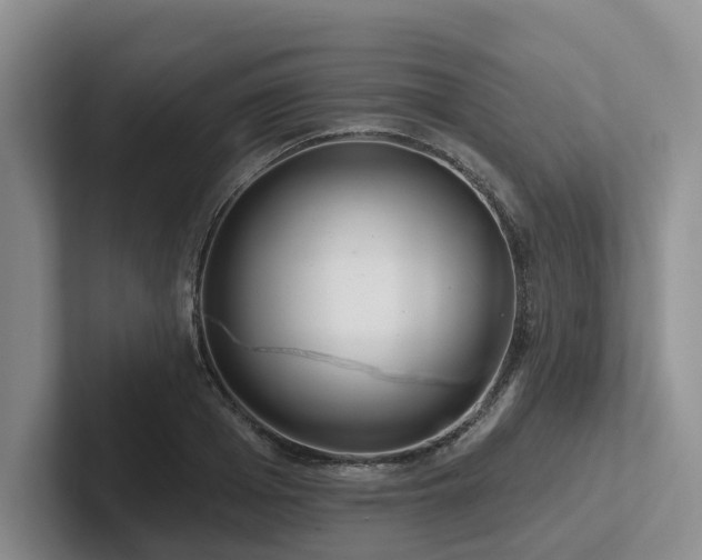 X0000102500985200808081345
