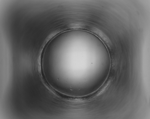 X0000102500986200808081345