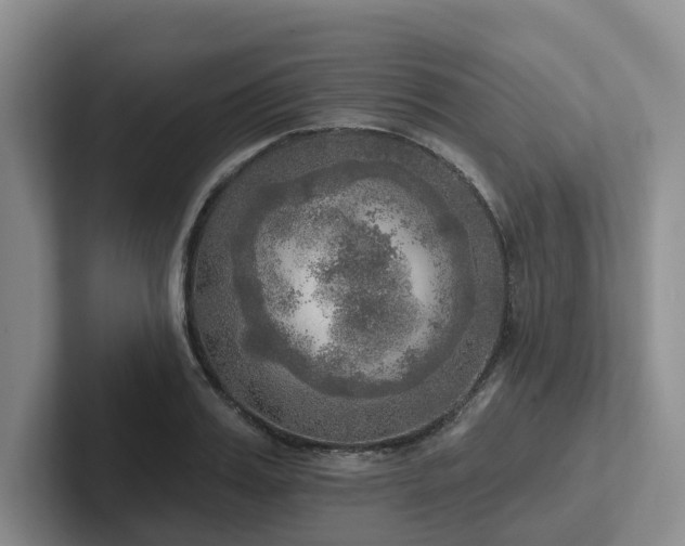 X0000102500987200808081345