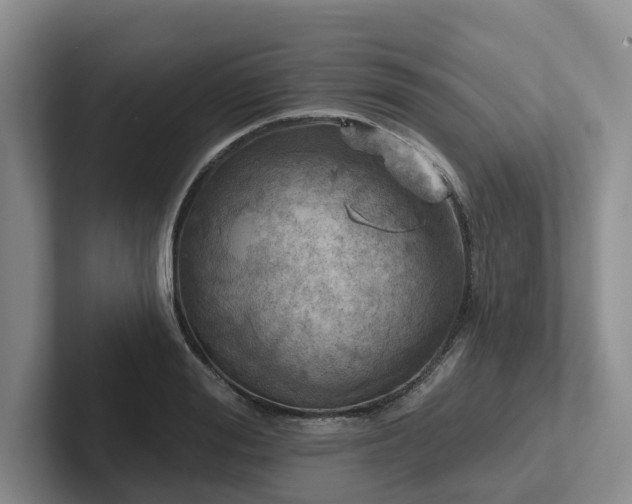 X0000102500988200808081345