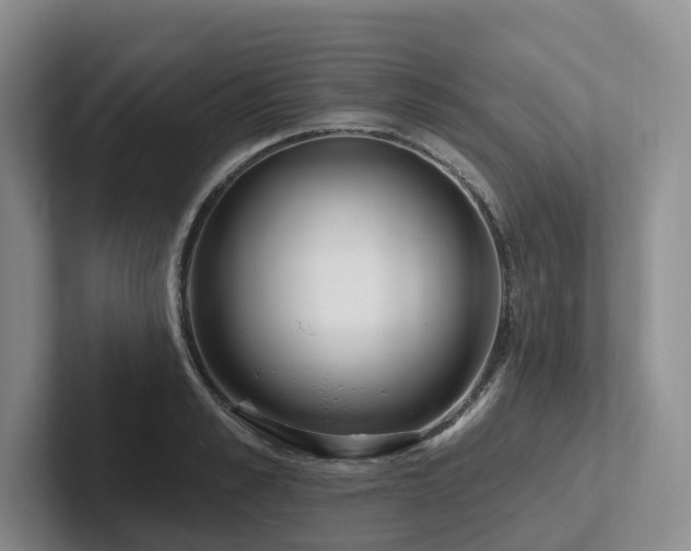 X0000102500989200808081345