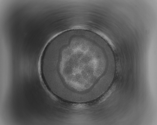X0000102500991200808081345