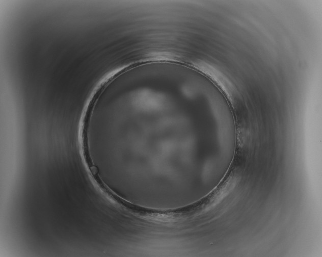 X0000102500995200808081345
