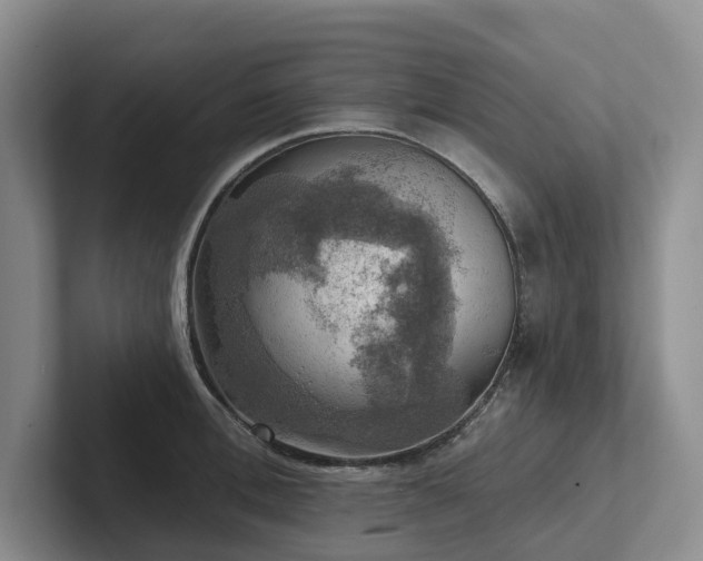 X0000102500996200808081345