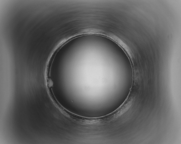 X0000102500997200808081345