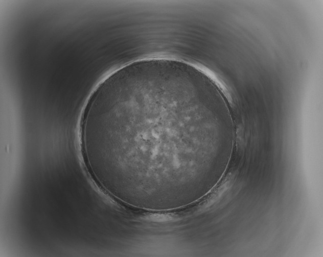 X0000102500998200808081345