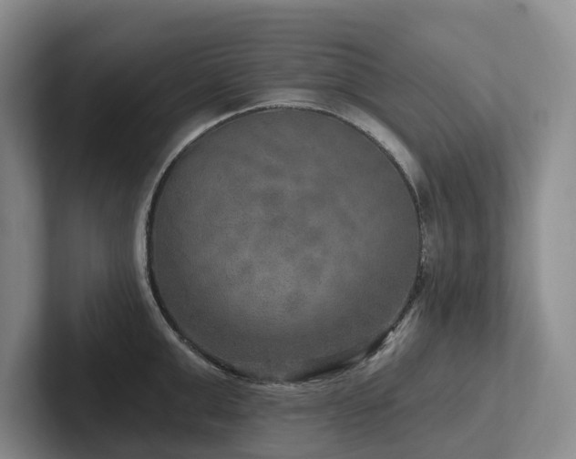 X0000102500999200808081345
