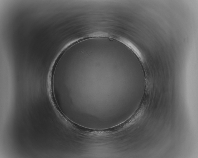 X0000102501000200808081345
