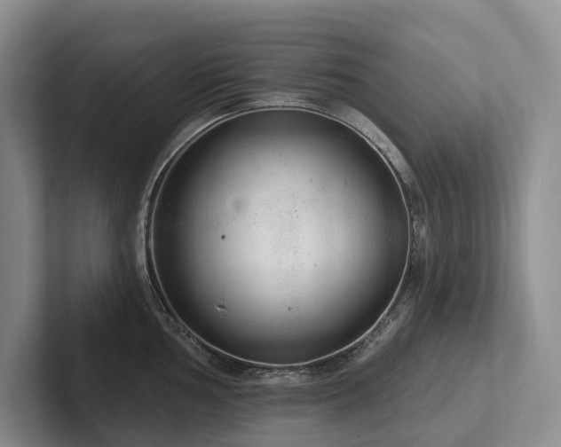 X0000102501002200808081345