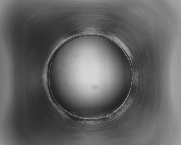 X0000102501005200808081345