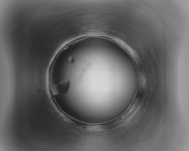 X0000102501006200808081345